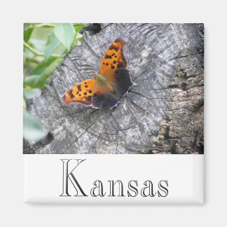 打ち壊された美しい マグネット