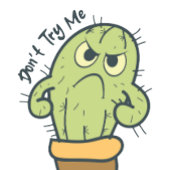 打ち来た Tシャツ