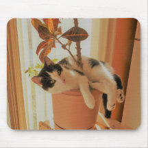 打抜き切断工具はCatnippingです