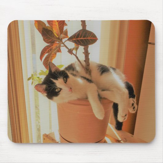 打抜き切断工具はCatnippingです マウスパッド (正面)