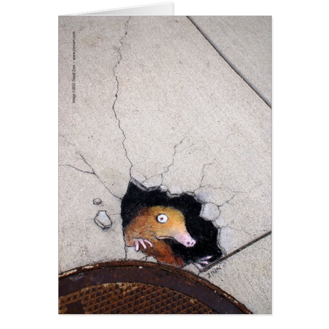 扱いにくいモル (正面)