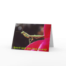 扱いにくい虫はおろしますか。