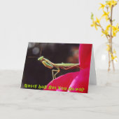 扱いにくい虫はおろしますか。 カード (黄色い花)