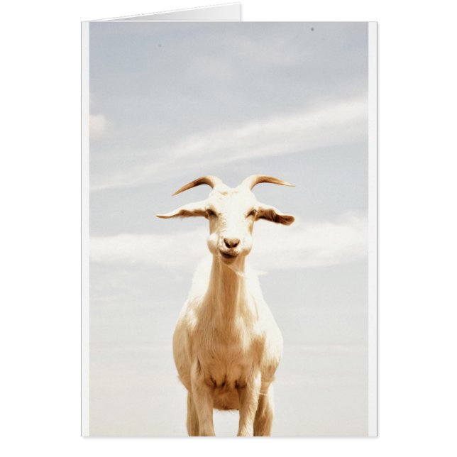 扱いにくい1つ (正面)