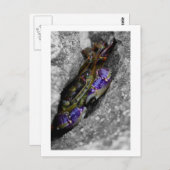 技術色の生き物 ポストカード (正面/裏面)