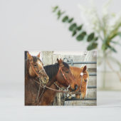 抑制された馬頭部 ポストカード (スタンド正面)