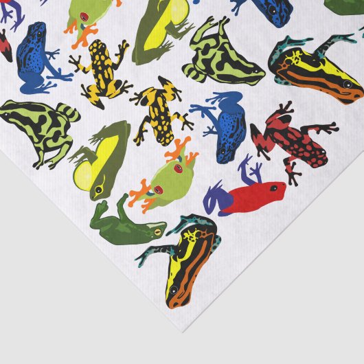 投げ矢のカエル、子供の水陸両生的な木のウシガエルの毒して下さい 薄葉紙 (詳細)