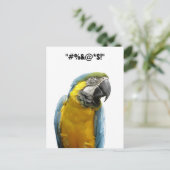 「投票した」カード ポストカード (スタンド正面)