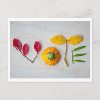 投票はがきを取り出す ポストカード