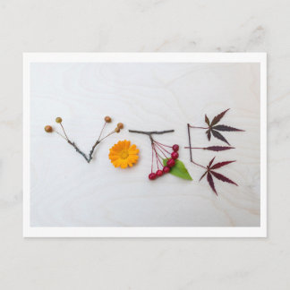 投票はがきを取り出す ポストカード