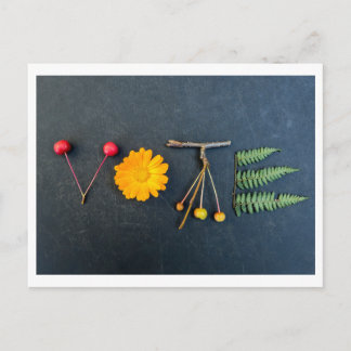 投票はがきを取り出す ポストカード