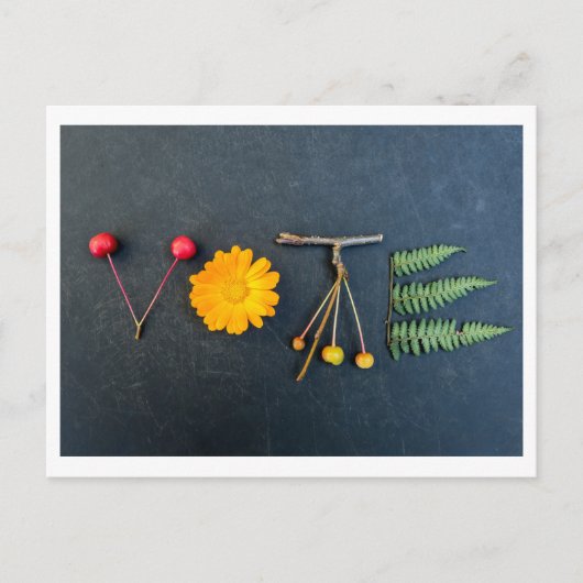 投票はがきを取り出す ポストカード (正面)