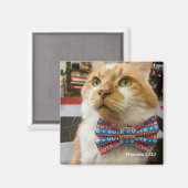 投票ウィンストン マグネット (正面/裏面)