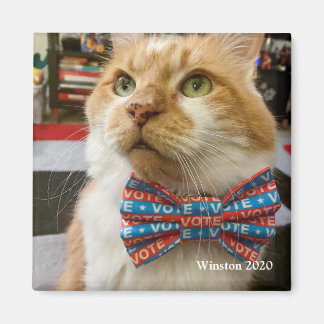 投票ウィンストン マグネット