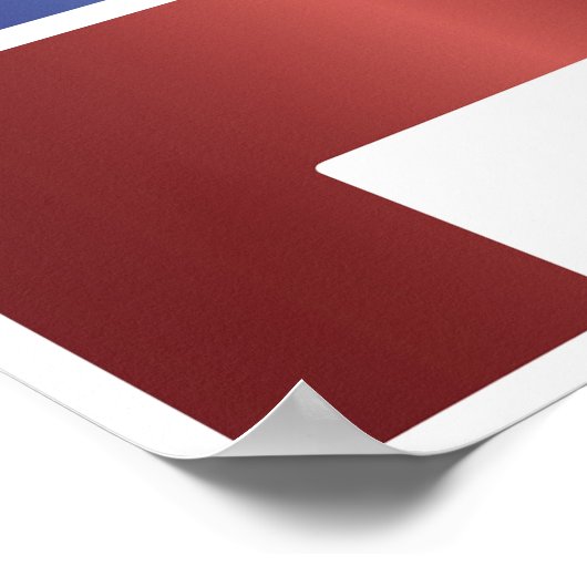 投票日ポスター ポスター (角)