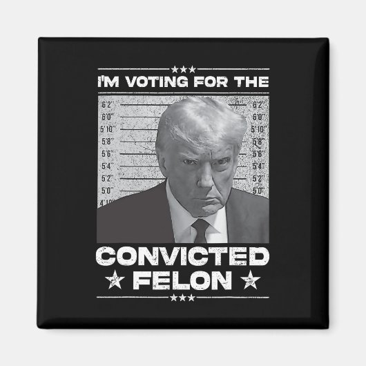 投票有罪判決フェロン2024 – トランプ2024有罪判決 マグネット (正面)
