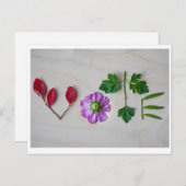 投票 ポストカード (正面/裏面)