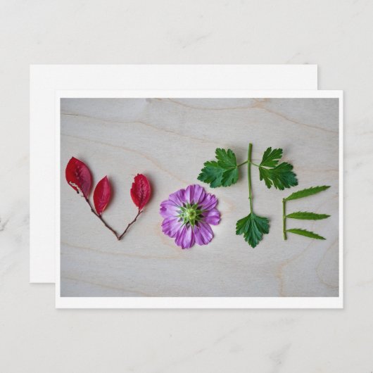 投票 ポストカード (正面/裏面)