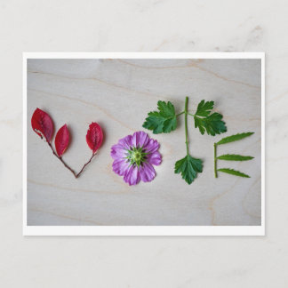 投票 ポストカード