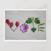 投票 ポストカード (正面)