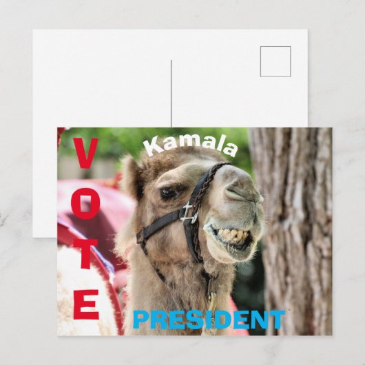 投票 ポストカード (正面/裏面)