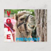 投票 ポストカード (正面)