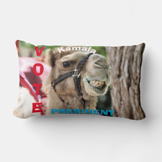 投票 ランバークッション (正面)