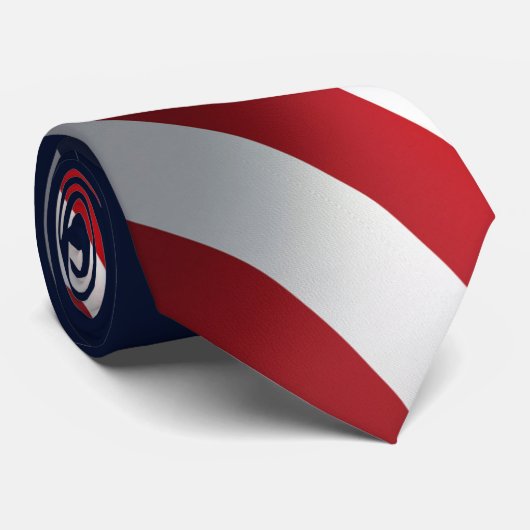 投票、首のタイ ネクタイ (ロール)