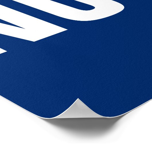 投票Not Guns Resist ポスター (角)