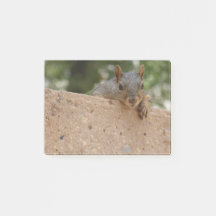 投稿するナット（メモ）