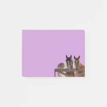 投稿するノートHorses