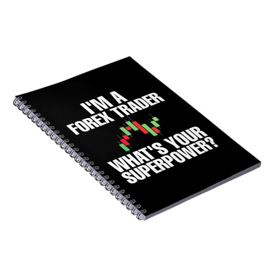 投資家Iは外国為替トレーダー ノートブック (右側)