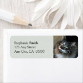 抗え難いキャットゾロ差出人住所ラベル ラベル (インサイチュ)