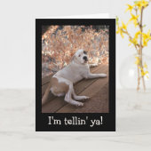 抗し難いポーチ犬の良いカード カード (黄色い花)