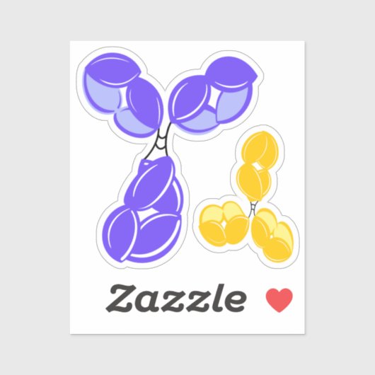 抗体IgG1または4、紫および黄 シール (シート)