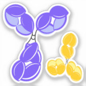 抗体IgG1または4、紫および黄 シール (正面)