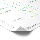 抗生物質合成のための代謝経路 ポスター (角)