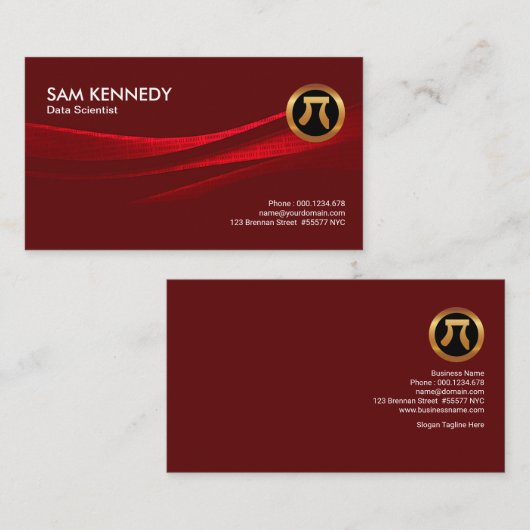 折られたバイナリーデータの研究のレポートデータ科学者 名刺 (正面/裏面)