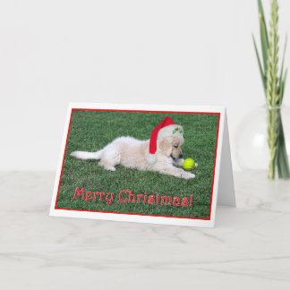折られるゴールデン・リトリーバーの子犬のクリスマスカード シーズンカード