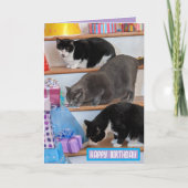 折りたたみグリーティングカード カード (正面)