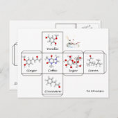 折りたたみ式クッキーボックス ポストカード (正面/裏面)
