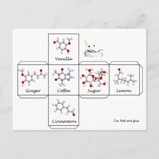 折りたたみ式クッキーボックス ポストカード (正面)