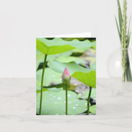 折り曲げサンキューカード サンキューカード