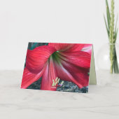 折り曲げサンキューカード サンキューカード (裏面)