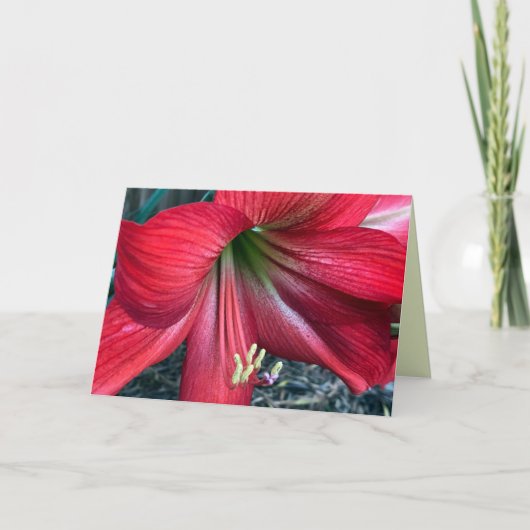 折り曲げサンキューカード サンキューカード (正面)