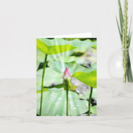 折り曲げサンキューカード サンキューカード