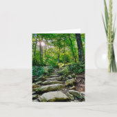 折り畳まれたグリーティングカードと森林のパスの写真 カード (正面)