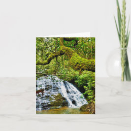 折り畳まれたグリーティングカード（滝） カード