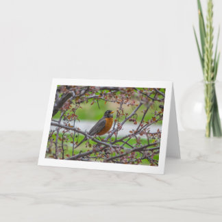 折り畳まれたグリーティ空白のングカード「ロックイン」 カード