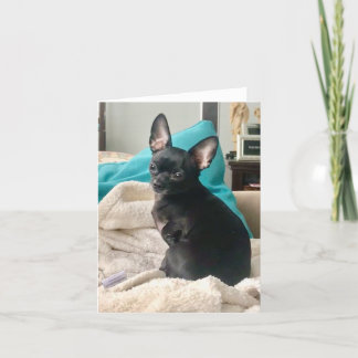 折り畳まれたノテカ サンキューカード